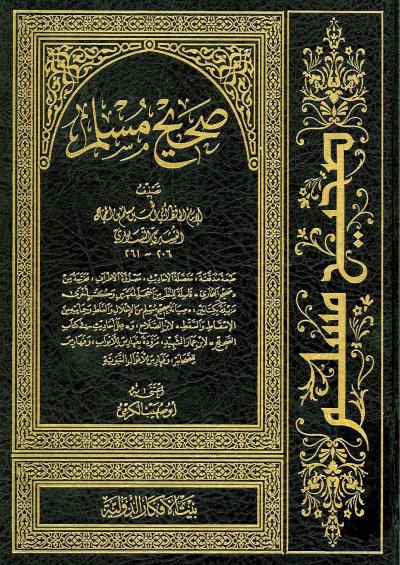غلاف كتاب صحيح مسلم وصيانة صحيح مسلم وعلل أحاديث في كتاب الصحيح (ط: الأفكار)