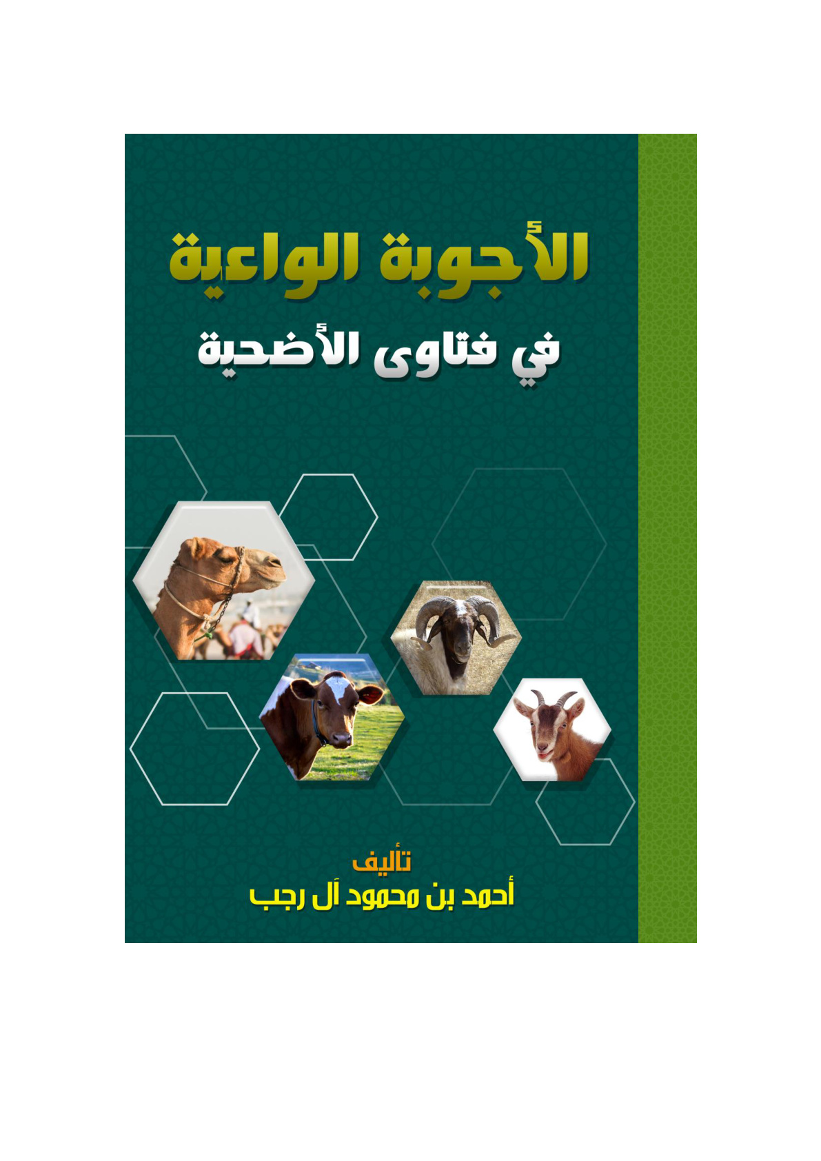 غلاف كتاب الأجوبة الواعية في فتاوى الأضحية -  أحمد آل رجب