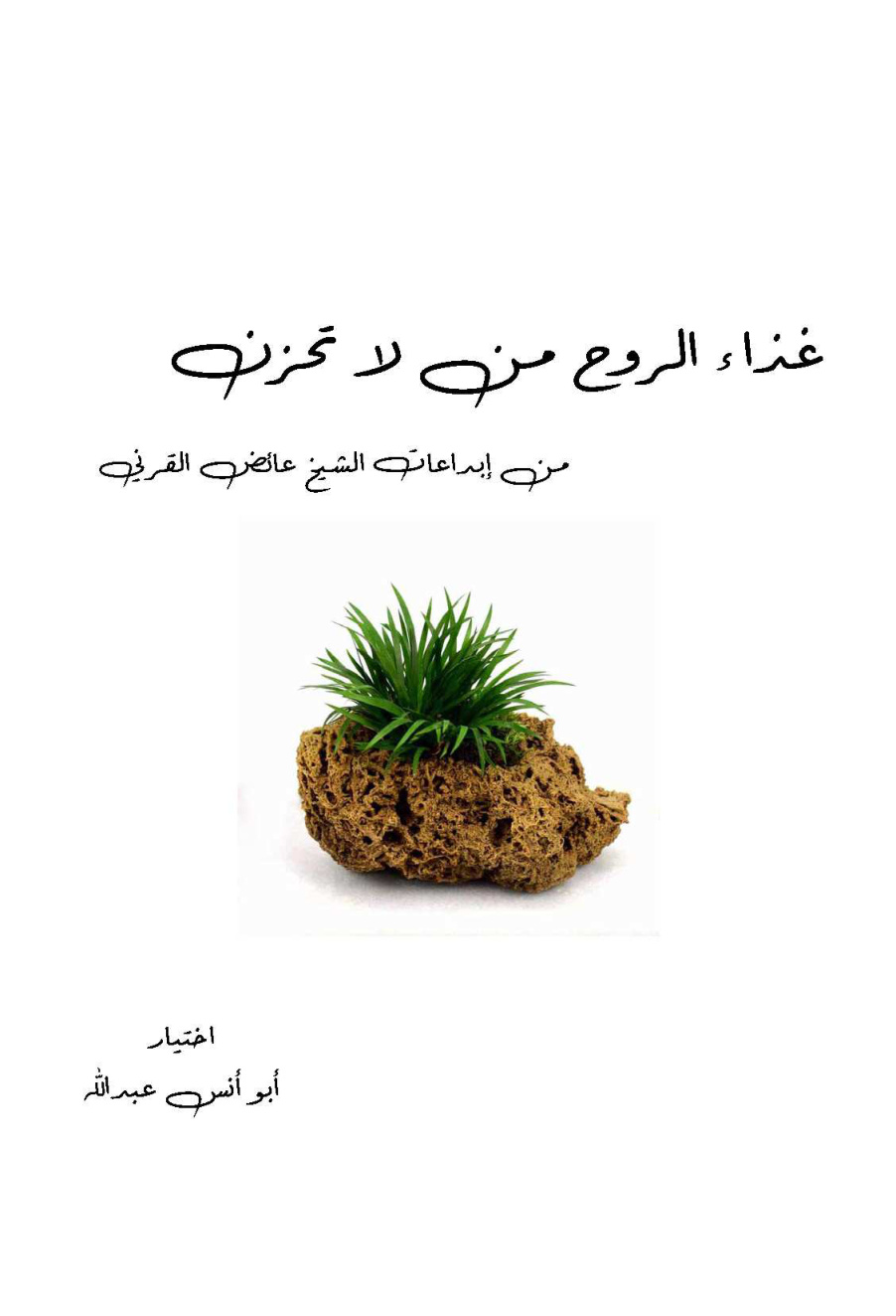 غلاف كتاب غذاء الروح من كتاب لا تحزن - أبو أنس عبد الله ( ط 2 )