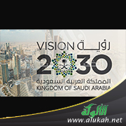 غلاف كتاب أثر تطور موازنات الإدارة المحلية لتحقيق الرؤية الوطنية 2030 في المملكة العربية السعودية (PDF)