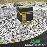 غلاف كتاب Fighting Inside The Haram