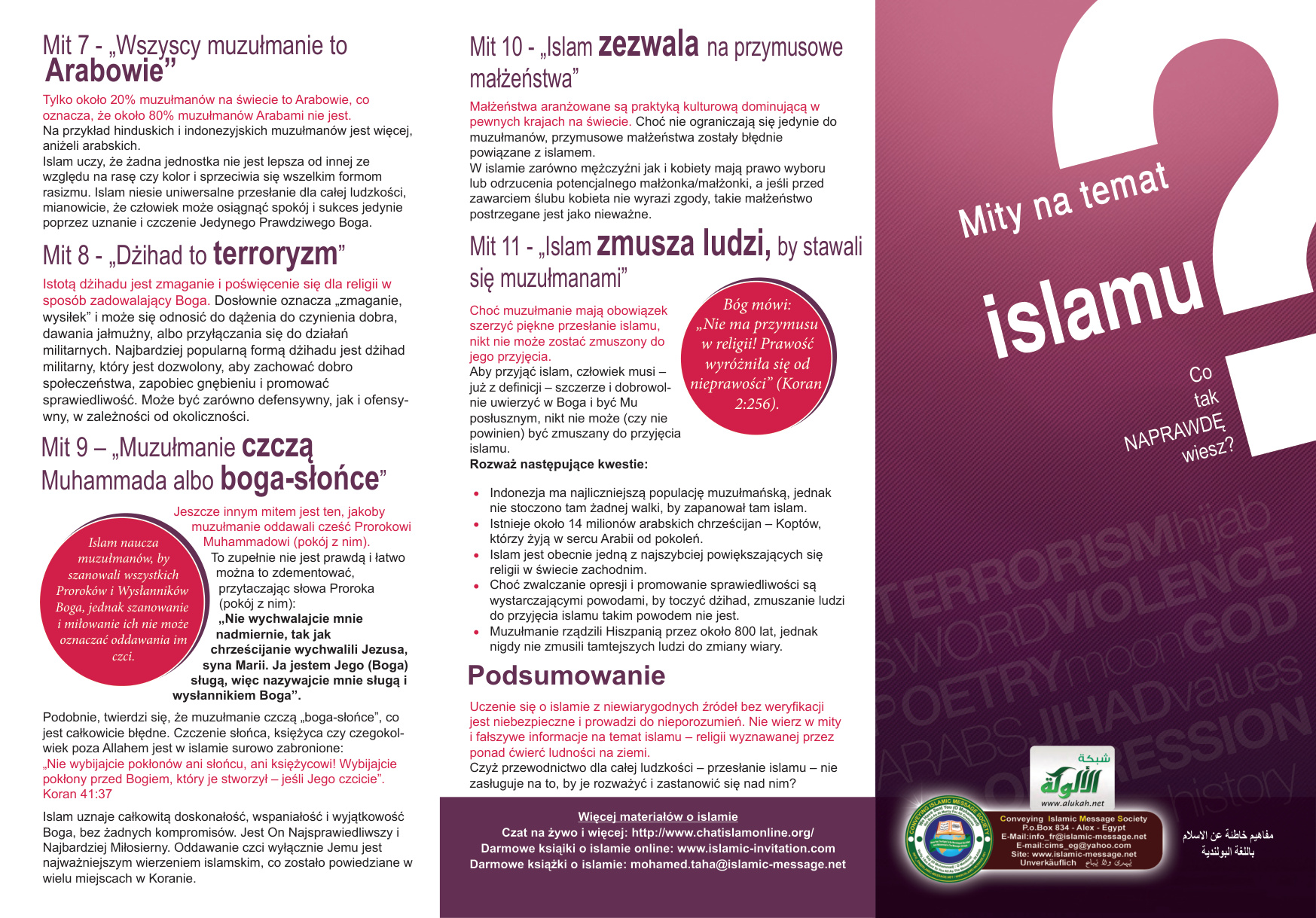غلاف كتاب Mity na temat islamu (PDF)