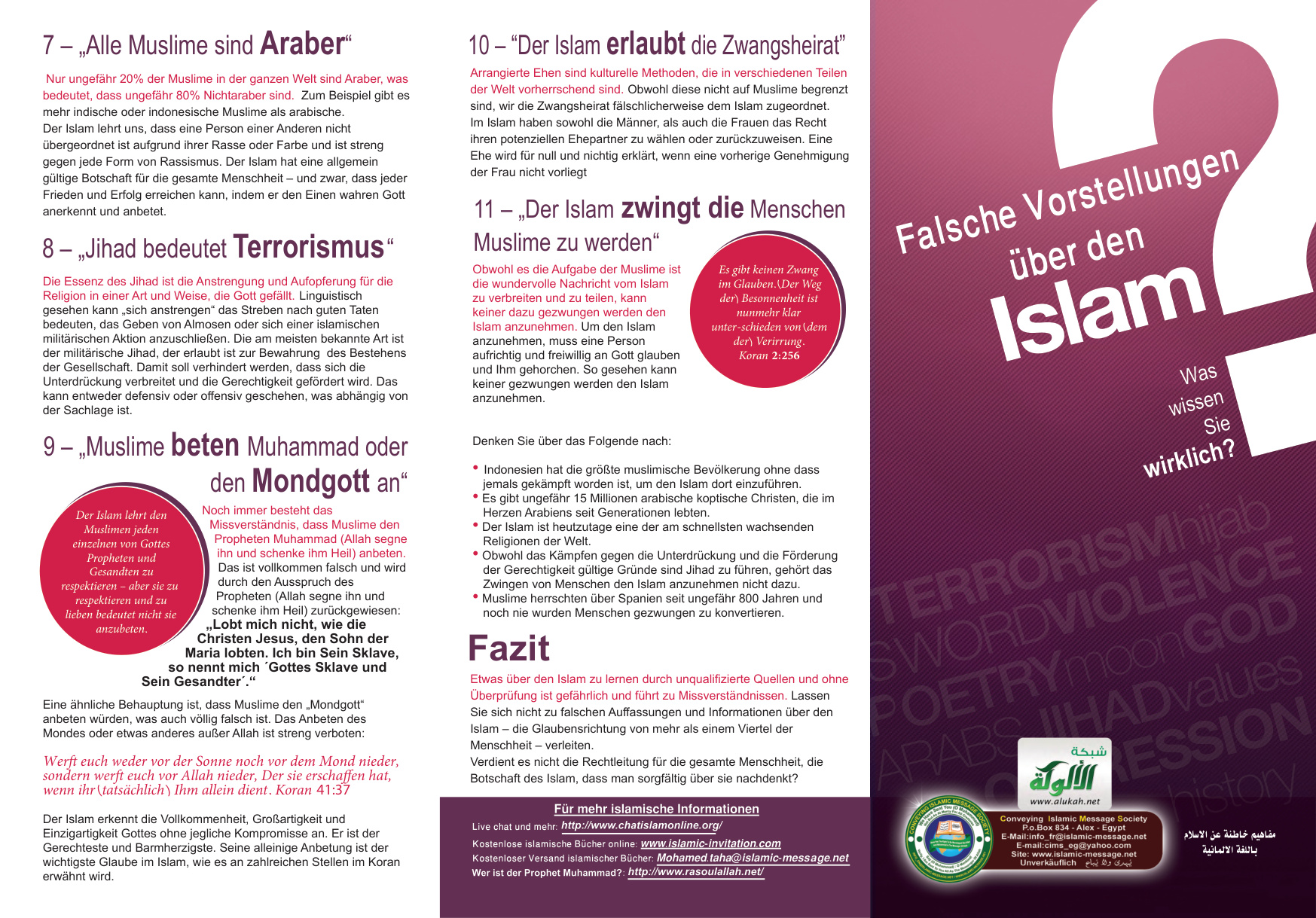 غلاف كتاب (PDF) Falsche Vorstellungen über den Islam