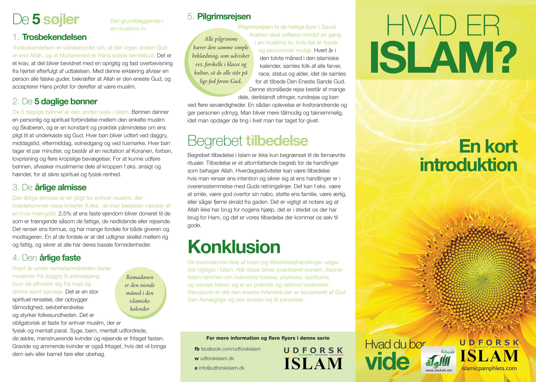 غلاف كتاب ما هو الإسلام باللغة الدنماركية (PDF) ?Hvad Er Islam