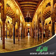 غلاف كتاب مكانة التاريخ في الثقافة الإسلامية (PDF)