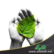 غلاف كتاب حقيقة الإنسان بين المسؤولية والتكريم (PDF)