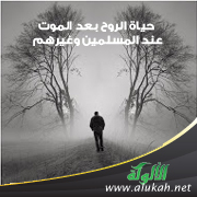 غلاف كتاب حياة الروح بعد الموت عند المسلمين وغيرهم (PDF)