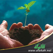 غلاف كتاب معالم الرحمة في تشريعات البيوع في الإسلام (PDF)