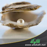 غلاف كتاب شهادة الزوجين في الفقه الإسلامي (PDF)