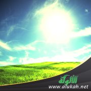 غلاف كتاب دخول وقت الظهر بالزوال الشرعي (PDF)