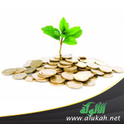 غلاف كتاب المال في ميزان الشريعة الإسلامية (PDF)
