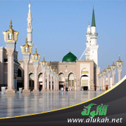 غلاف كتاب تأثير زيارة المدينة المنورة على المسلم نفسيا وخلقيا واجتماعيا (PDF)