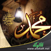غلاف كتاب الخلاصة البهية في ترتيب أحداث السيرة النبوية (PDF)
