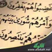 غلاف كتاب الشورى وأهميتها في الإسلام (PDF)