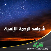 غلاف كتاب شواهد الرحمة الإلهية في الحج من خلال القرآن الكريم (PDF)