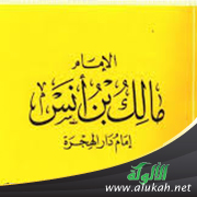 غلاف كتاب الإمام شيخ الإسلام مالك بن أنس: إمام دار الهجرة (PDF)