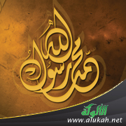 غلاف كتاب بشارات خاتم النبيين محمد في أسفار أهل الكتاب (PDF)