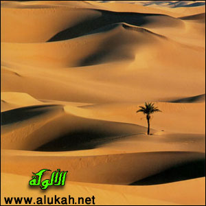 غلاف كتاب هجير الصحراء (PDF)