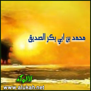 غلاف كتاب محمد بن أبي بكر الصديق حياته وأحواله زمن الفتنة (PDF)