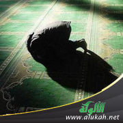 غلاف كتاب الفقه الواضح في المذهب والقول الراجح على متن زاد المستقنع ( كتاب الصلاة  PDF)