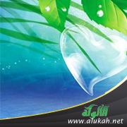 غلاف كتاب الدين المعدوم في الفقه الإسلامي: أسبابه وعلاجه (PDF)