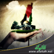 غلاف كتاب منظمات المرأة في فلسطين (PDF)