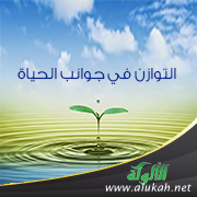 غلاف كتاب معا إلى التوازن: طريقة عملية بإرشادات نبوية لتحقيق التوازن في جوانب الحياة  (PDF)