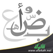غلاف كتاب استقرار الأنظمة اللغوية للعربية الفصحى سبيل إلى الوحدة الثقافية العربية بل الإسلامية (PDF)