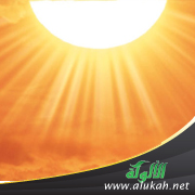 غلاف كتاب وقفات مع فصل الصيف (PDF)