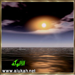 غلاف كتاب ديوان اللحظات النادرة (PDF)