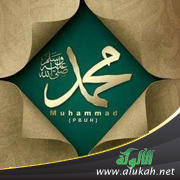غلاف كتاب شام الرسول صلى الله عليه وسلم وما ثبت فيها من النقول (PDF)