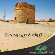 غلاف كتاب تبوك قديما وحديثا (PDF)