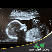 غلاف كتاب أطول مدة الحمل: دراسة فقهية حديثية (PDF)