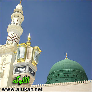غلاف كتاب الفوائد الندية من يتم خير البرية صلى الله عليه وسلم  (PDF)