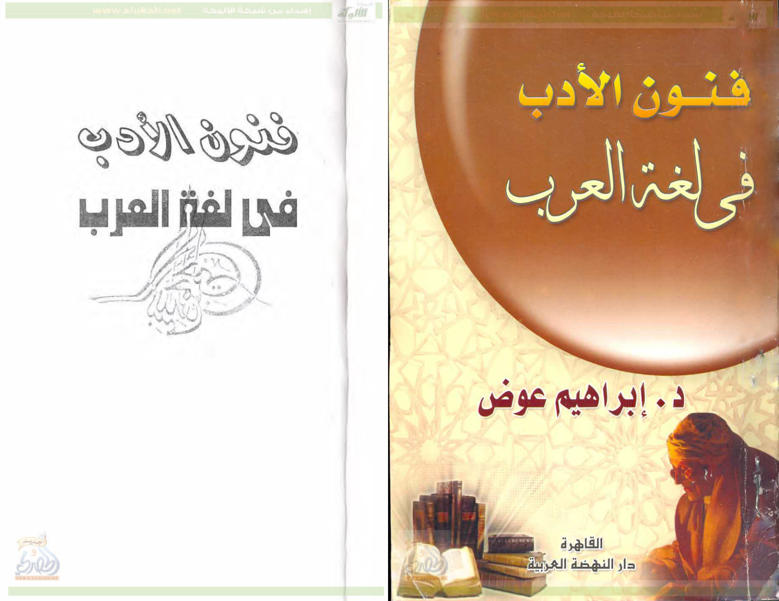 غلاف كتاب فنون الأدب في لغة العرب (PDF)
