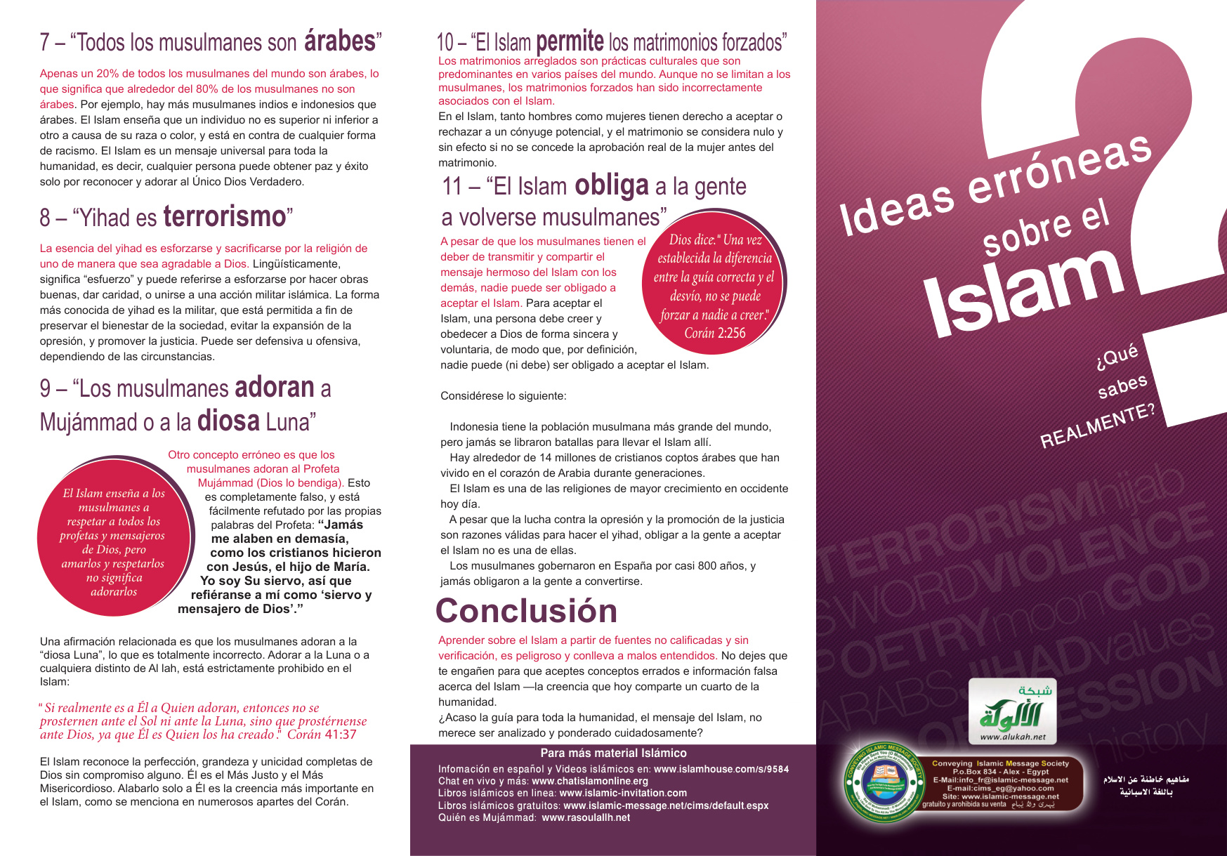 غلاف كتاب مفاهيم خاطئة عن الإسلام باللغة الإسبانية (PDF)