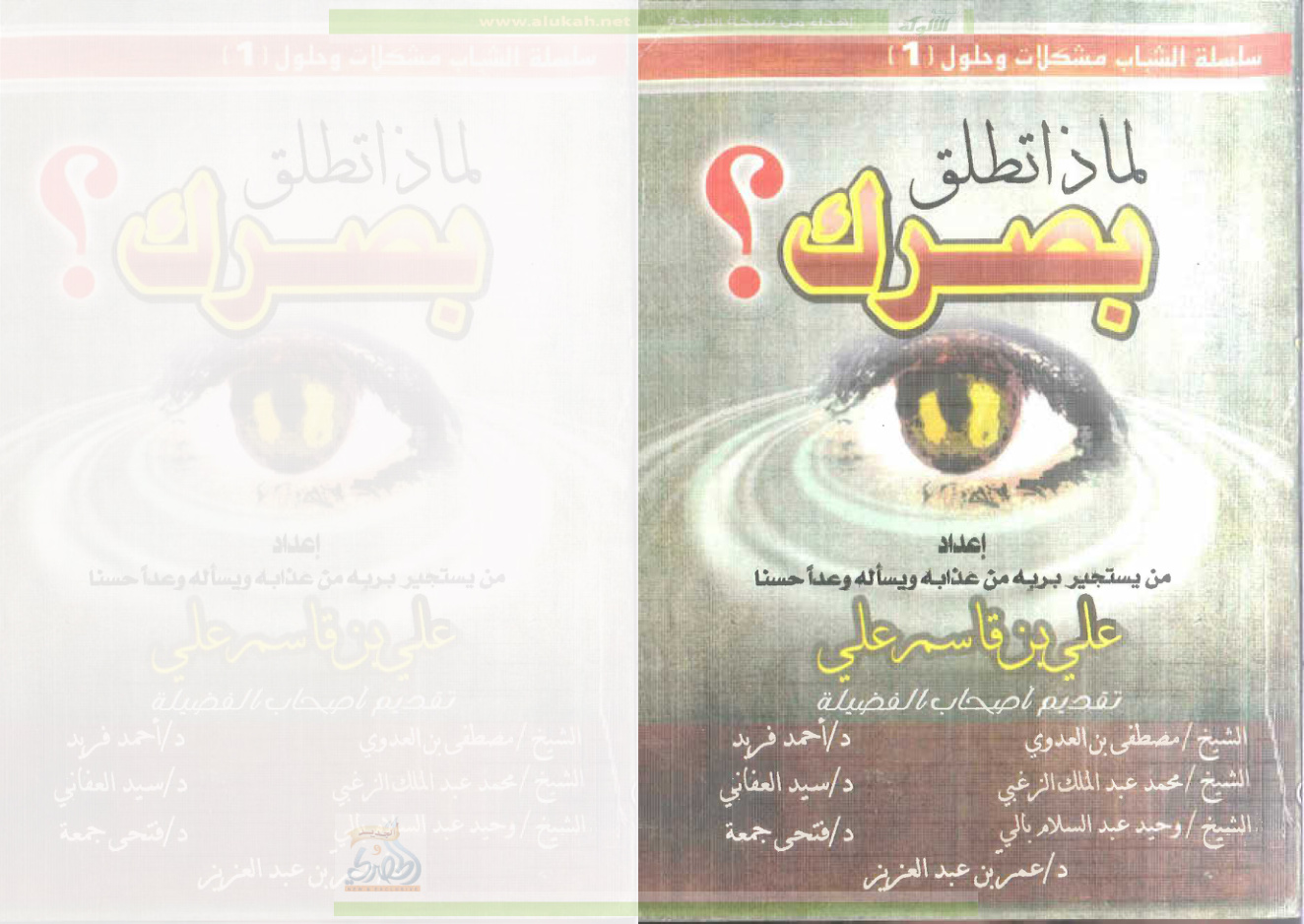 غلاف كتاب لماذا تطلق بصرك ؟ (PDF)