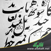 غلاف كتاب الموجز في قواعد اللغة الفارسية للأستاذ شاكر عناية الله (WORD)