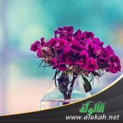 غلاف كتاب صفعات قادت إلى الخيرات (WORD)