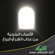 غلاف كتاب الأسباب المنجية من عذاب القبر أو البرزخ (WORD)