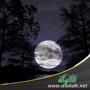 غلاف كتاب ظلمات الشرك (WORD)