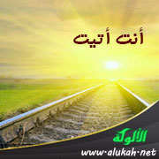 غلاف كتاب أنت أتيت ( مجموعة شعرية مترجمة من اللغة التركية ) (WORD)