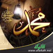 غلاف كتاب منازل السنة النبوية في مناهج السيرة النبوية (WORD)